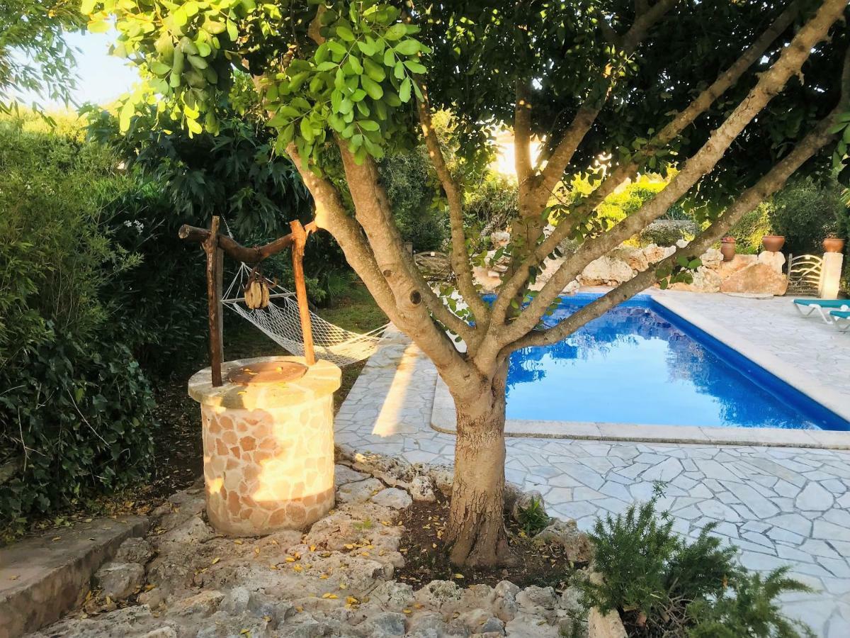Villa Para 6 Con Piscina Privada. ثيوداديلا المظهر الخارجي الصورة